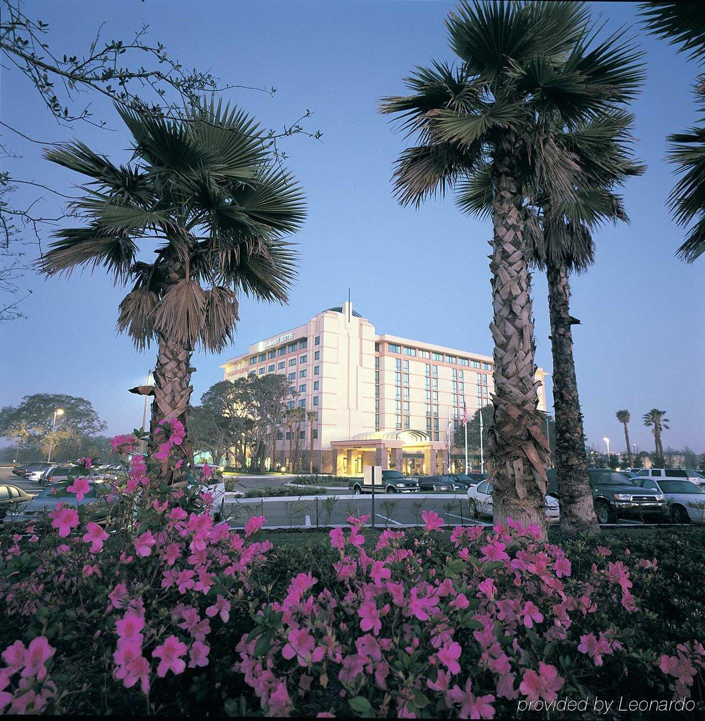 Embassy Suites By Hilton Tampa Usf Near Busch Gardens Екстериор снимка